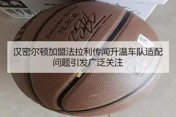 汉密尔顿加盟法拉利传闻升温车队适配问题引发广泛关注 - JIUYOUGAME